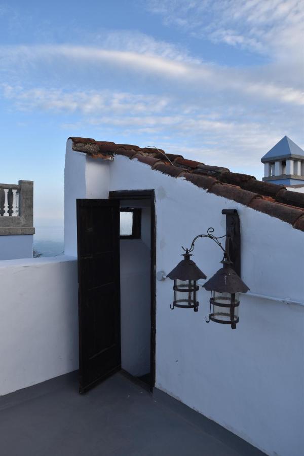 Gato Azul - Coliving Hotel La Orotava Bagian luar foto
